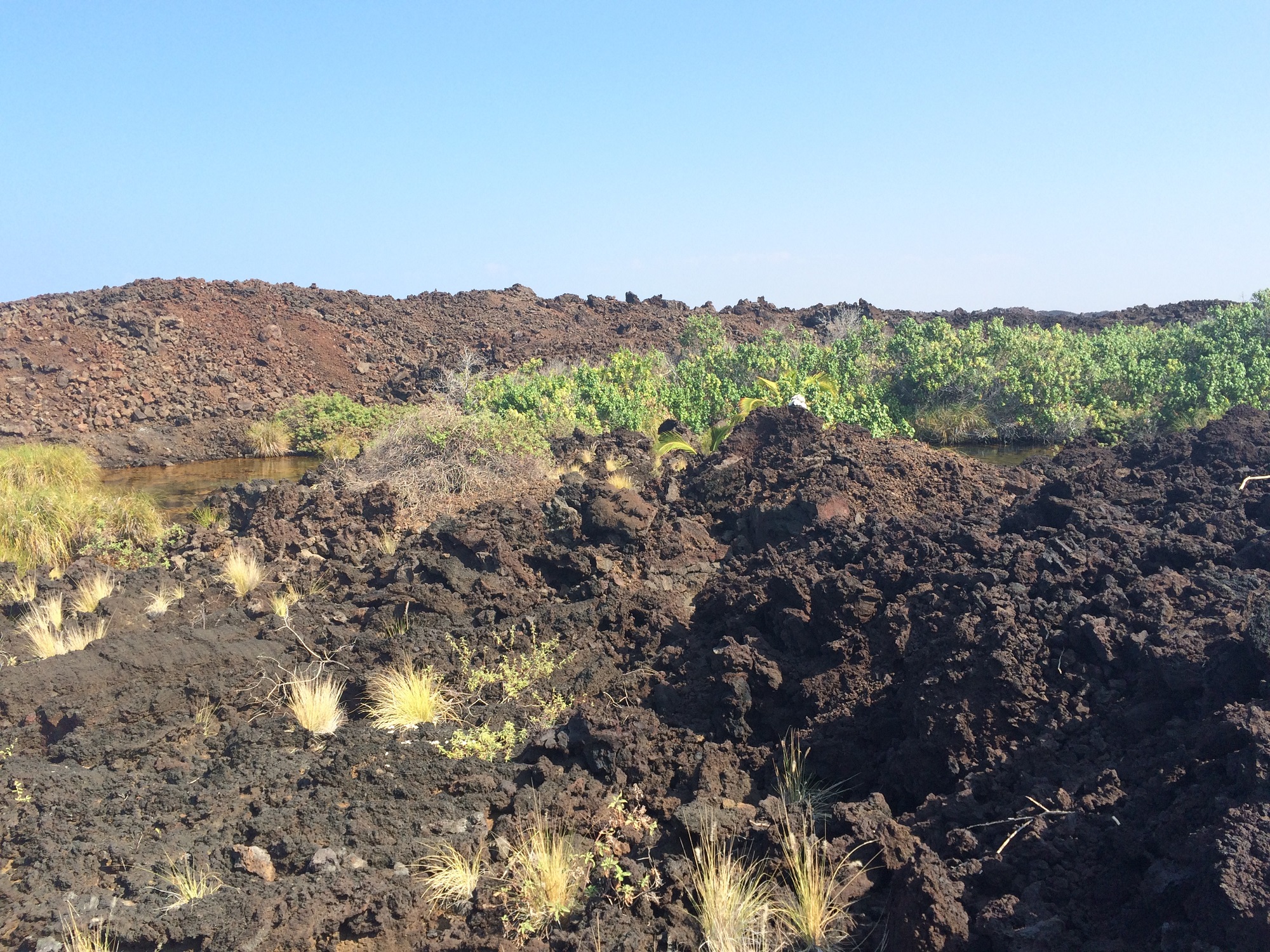 Photo from Ke-awa-iki Beach in Hawaii, image 41