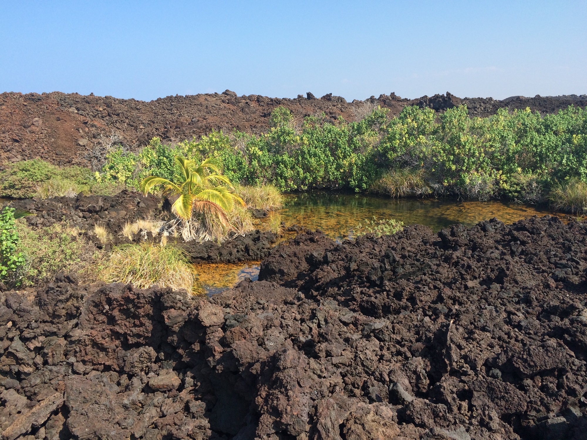 Photo from Ke-awa-iki Beach in Hawaii, image 42