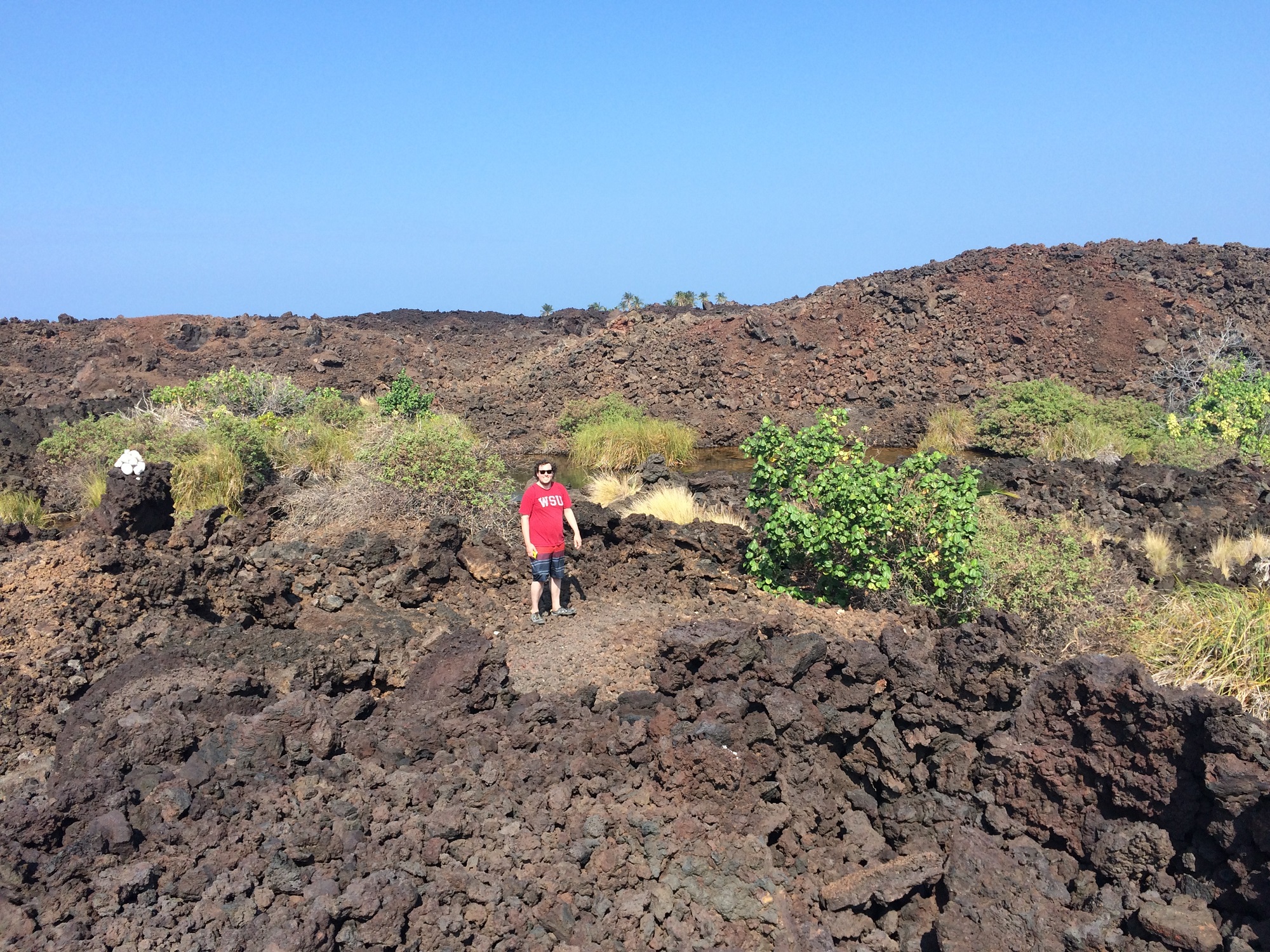 Photo from Ke-awa-iki Beach in Hawaii, image 43