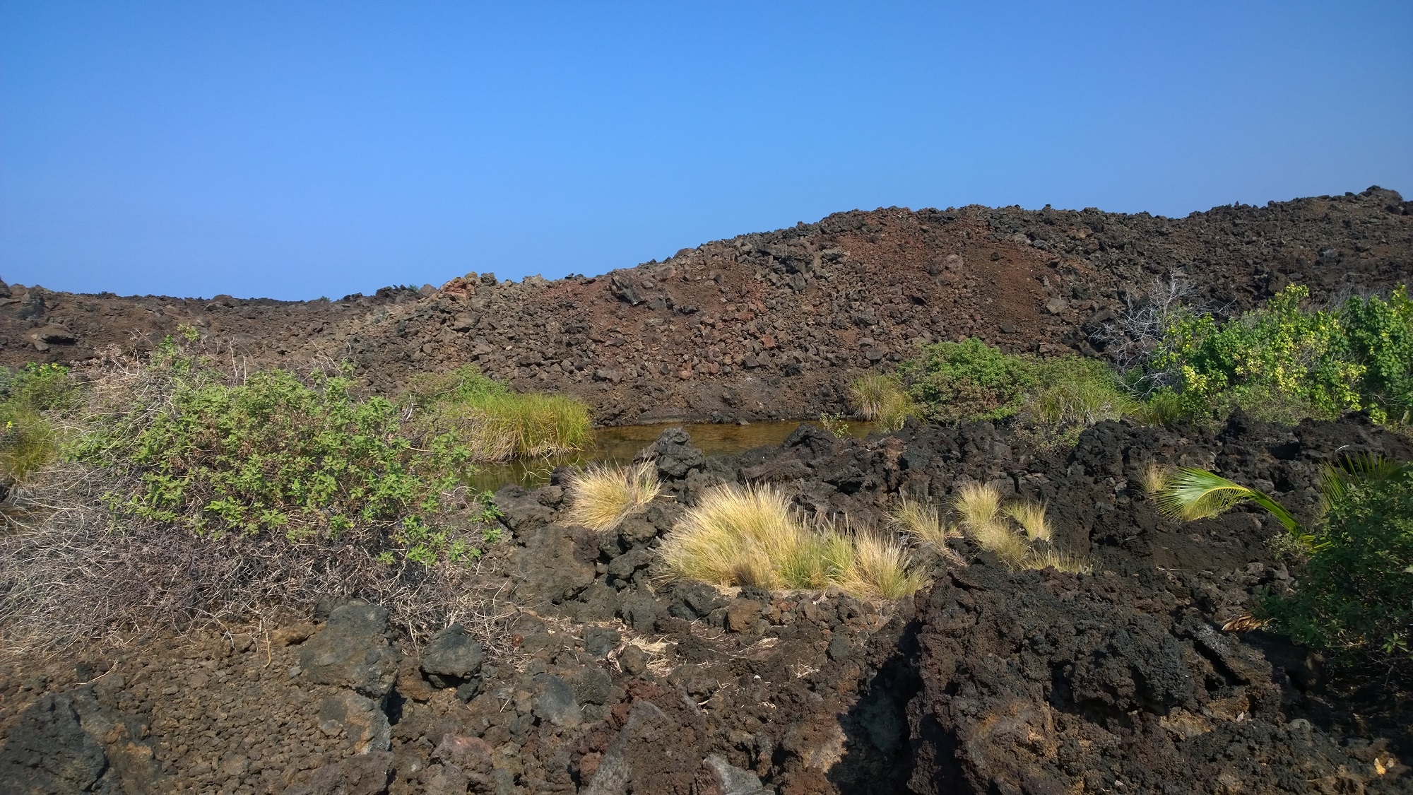 Photo from Ke-awa-iki Beach in Hawaii, image 44