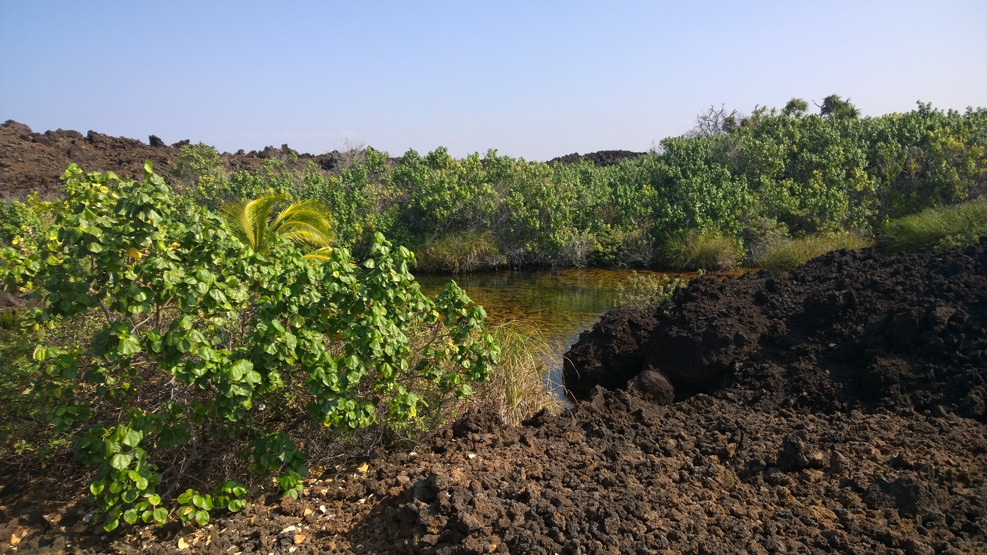 Photo from Ke-awa-iki Beach in Hawaii, image 45
