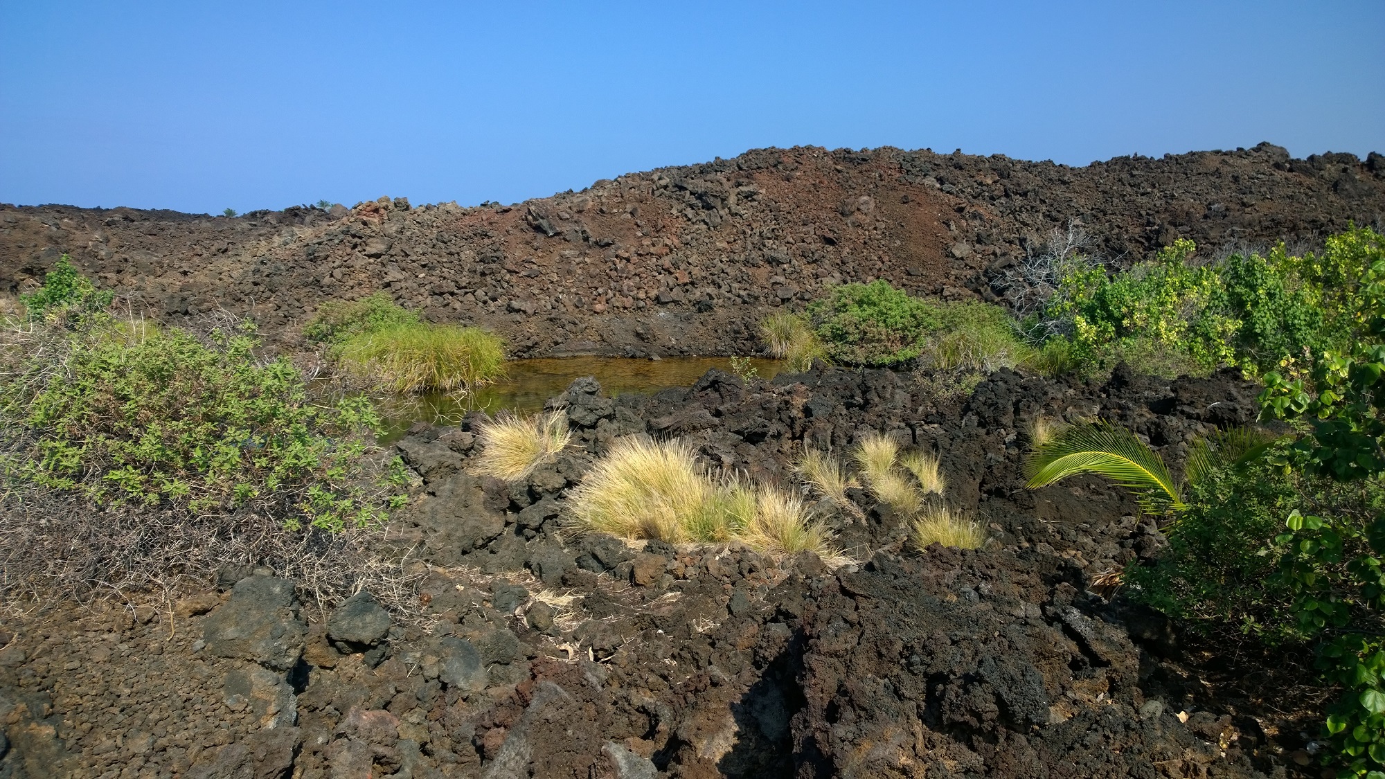 Photo from Ke-awa-iki Beach in Hawaii, image 46
