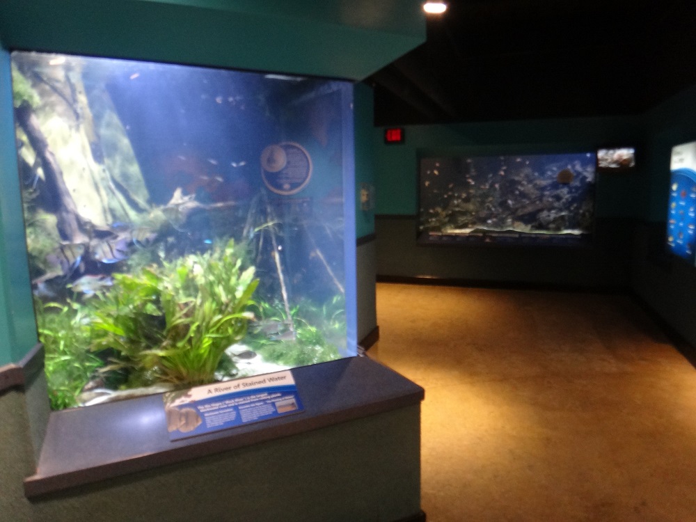 Cover for Newport Aquarium