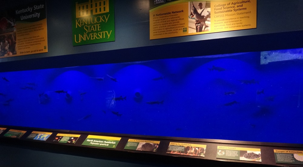 Newport Aquarium 2016