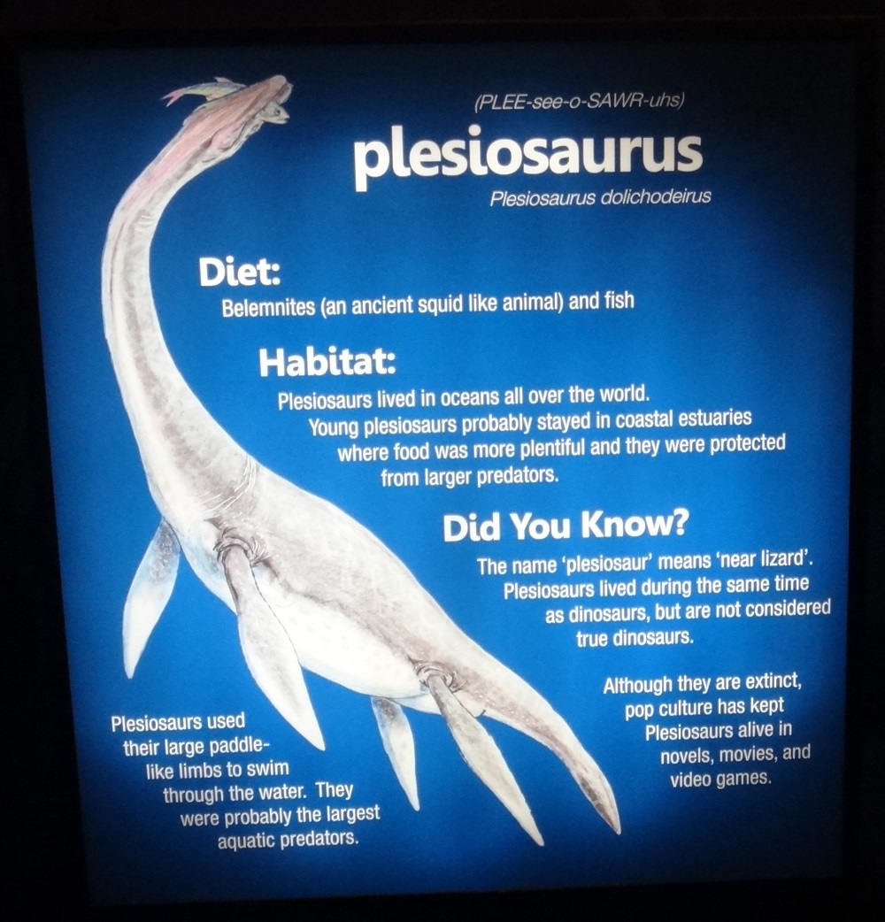 Newport Aquarium 2016