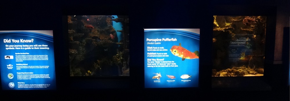 Newport Aquarium 2016