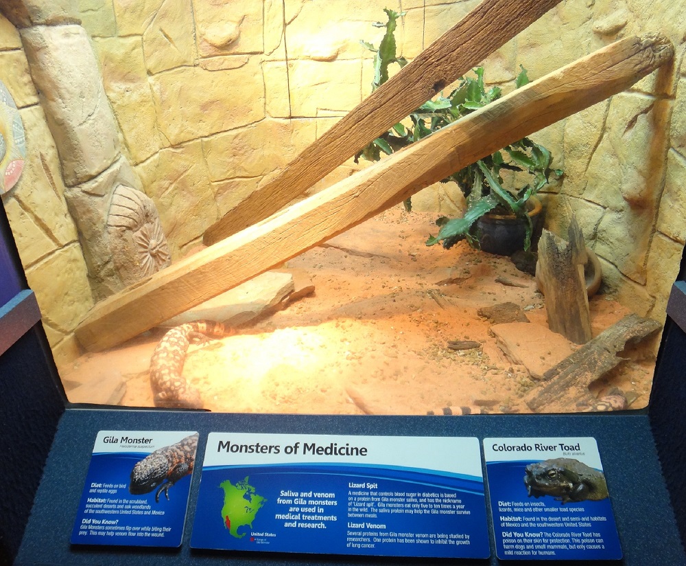 Newport Aquarium 2016