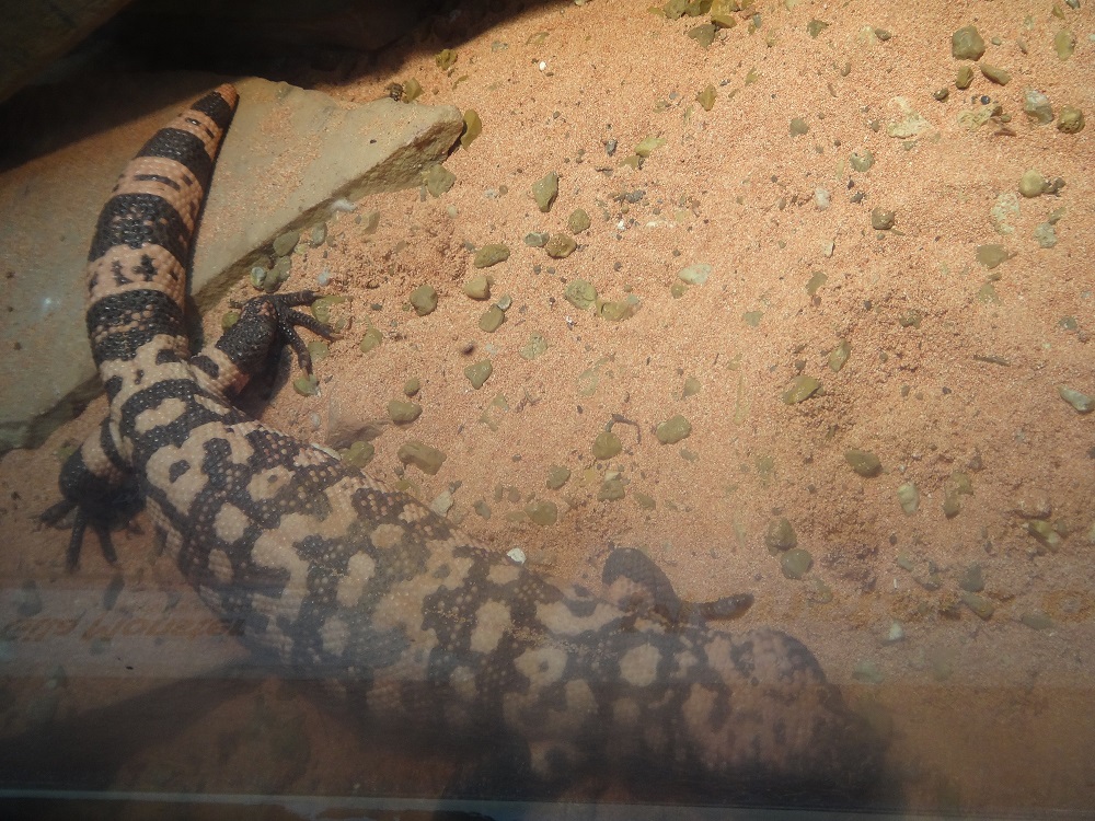 Newport Aquarium 2016