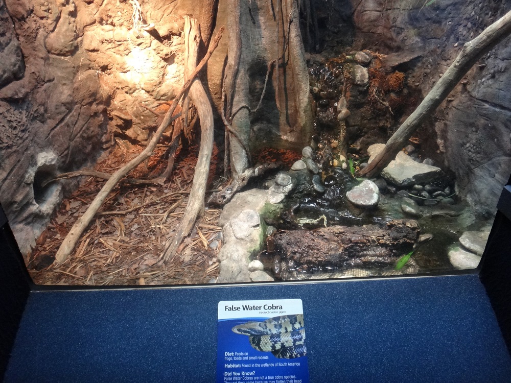 Newport Aquarium 2016