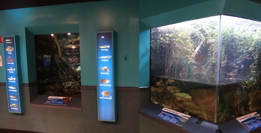 Newport Aquarium 2016