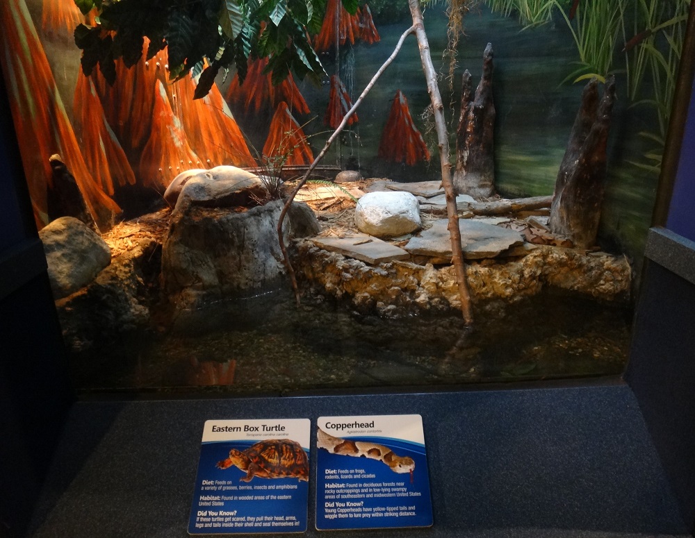 Newport Aquarium 2016