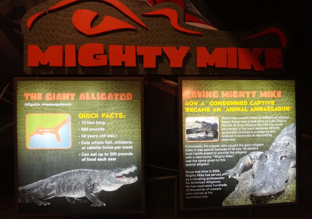 Newport Aquarium 2016