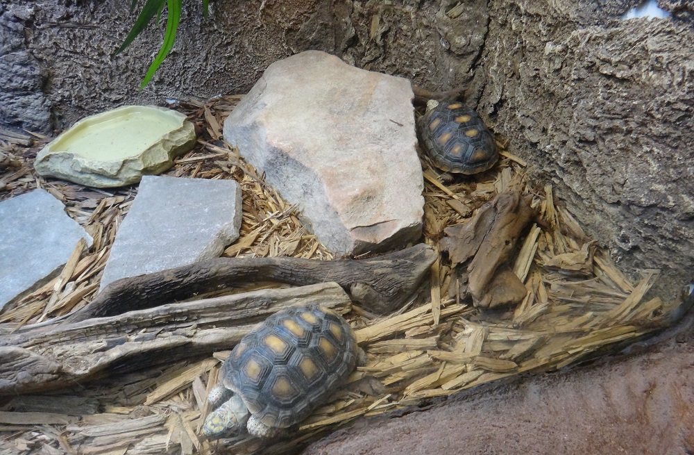 Newport Aquarium 2016