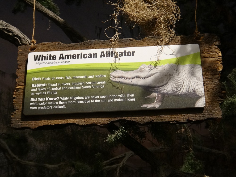 Newport Aquarium 2016