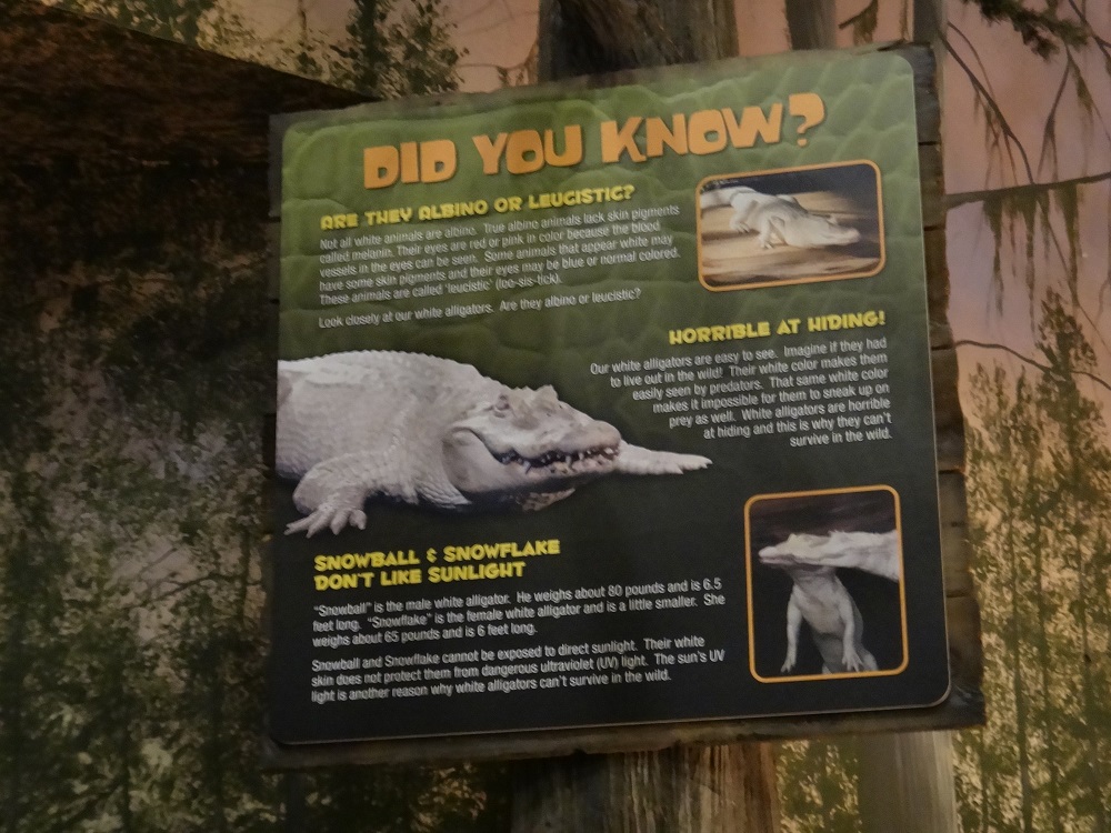 Newport Aquarium 2016