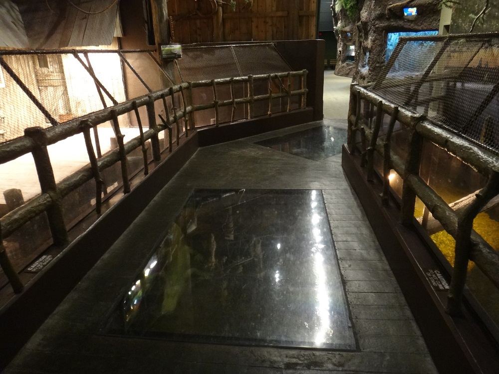 Newport Aquarium 2016