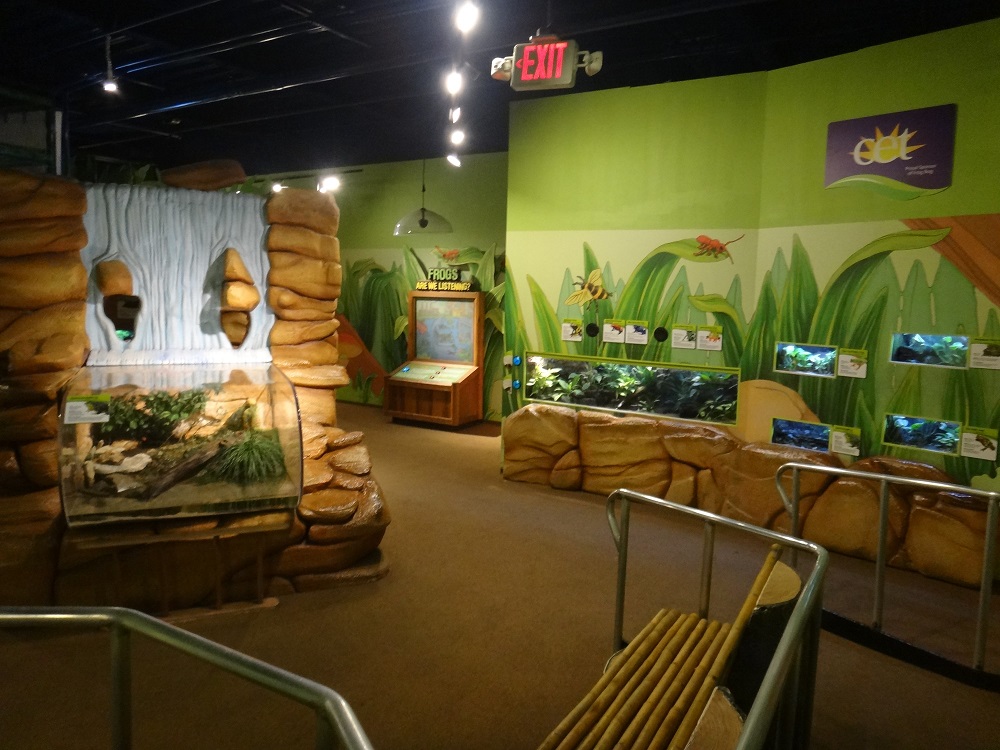 Newport Aquarium 2016