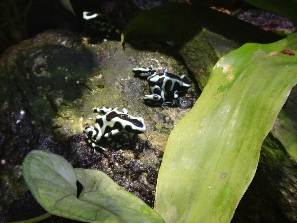 Newport Aquarium 2016