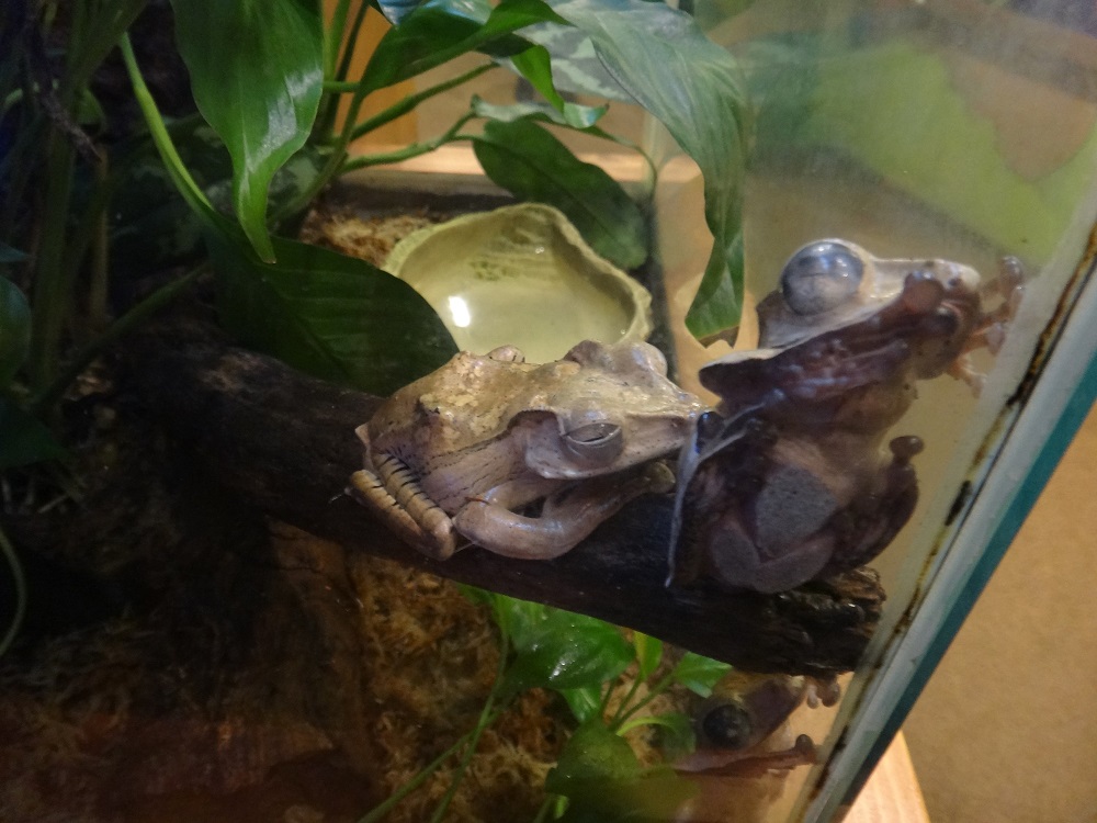 Newport Aquarium 2016