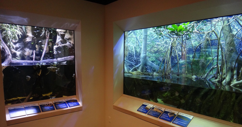 Newport Aquarium 2016