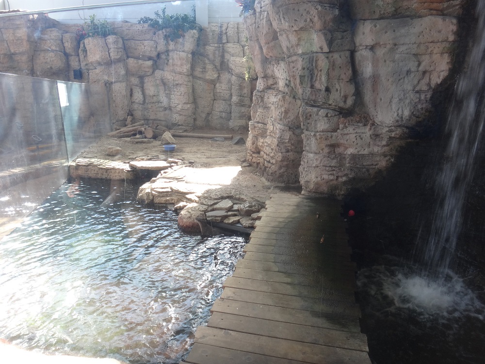 Newport Aquarium 2016