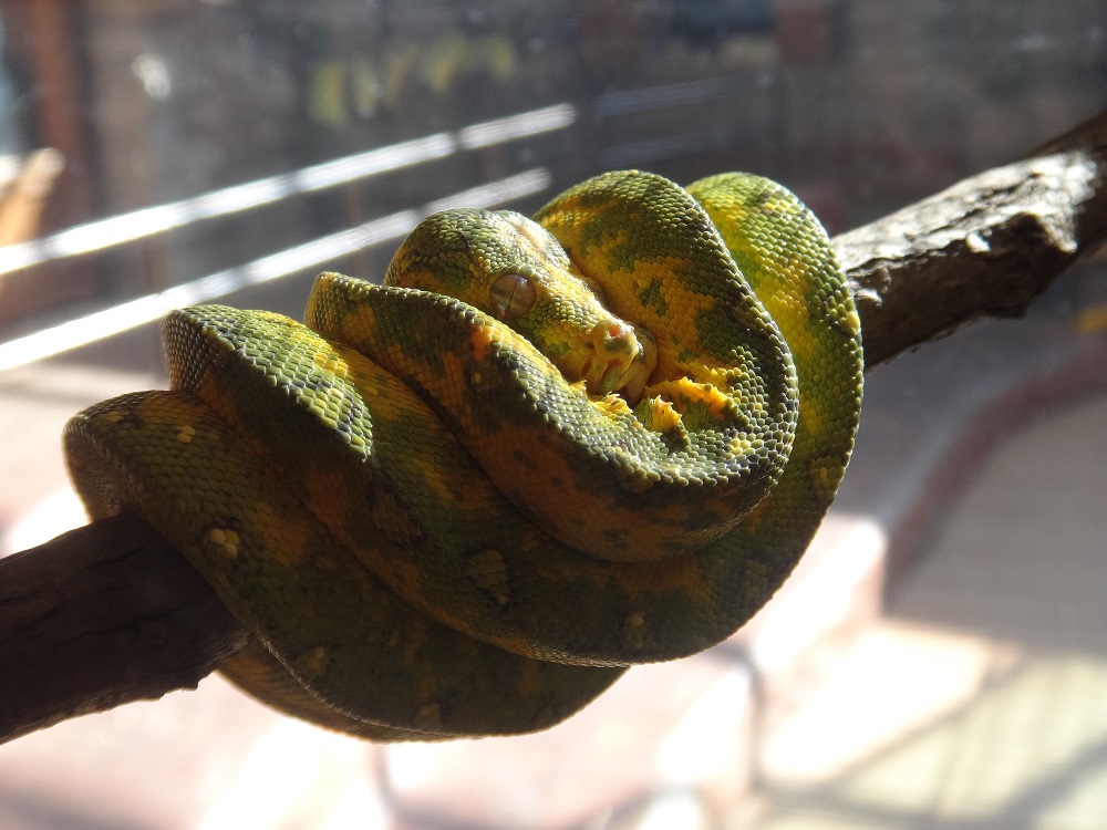 Newport Aquarium 2016