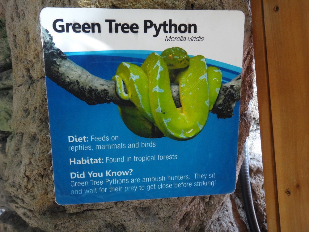 Newport Aquarium 2016