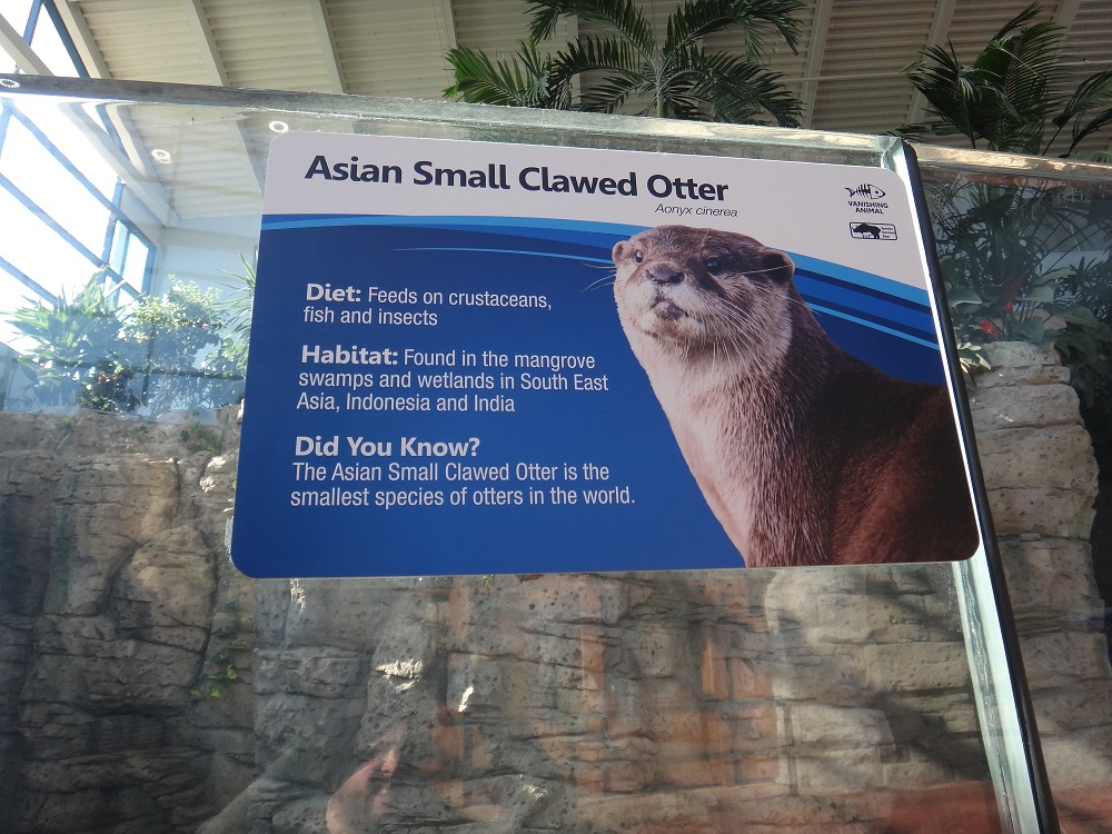 Newport Aquarium 2016