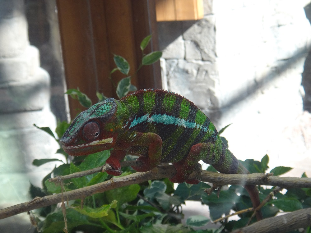 Newport Aquarium 2016