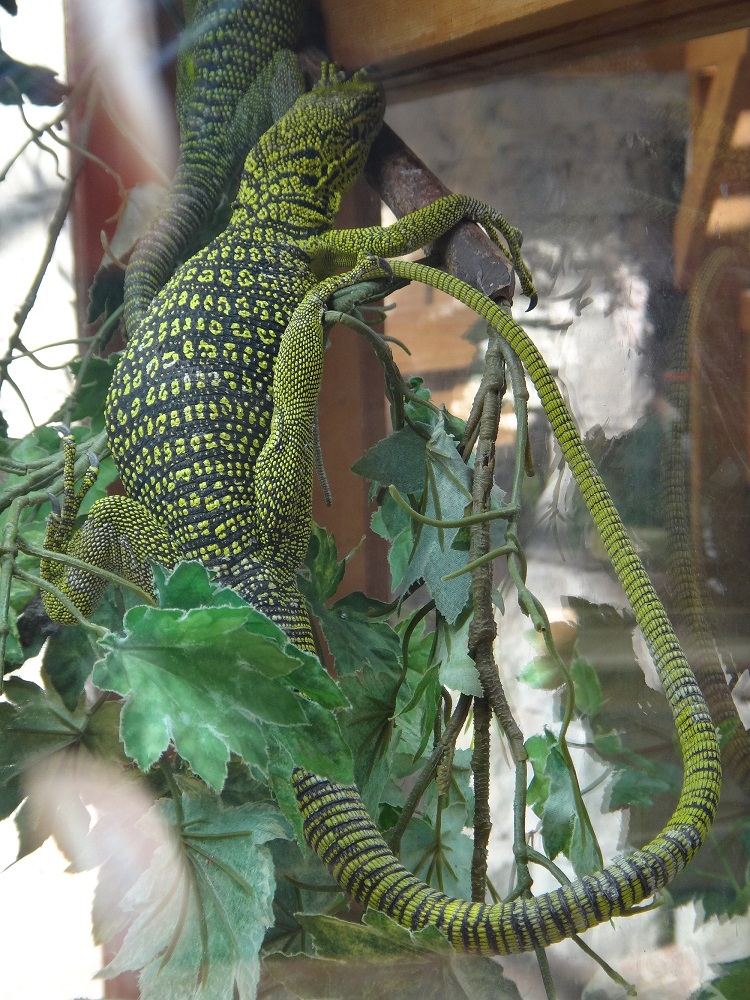 Newport Aquarium 2016