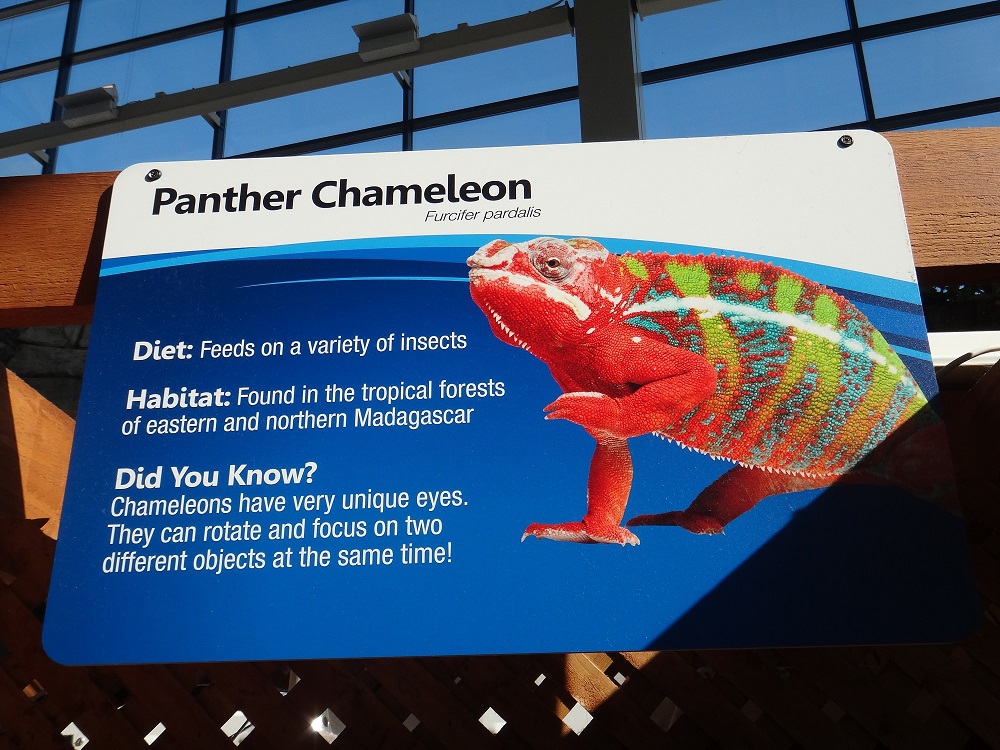 Newport Aquarium 2016