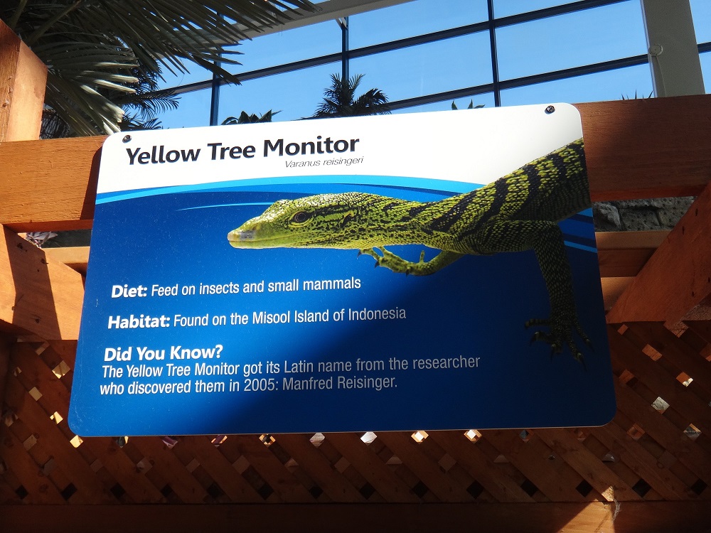 Newport Aquarium 2016