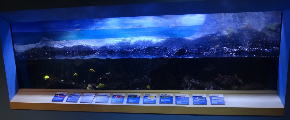 Newport Aquarium 2016