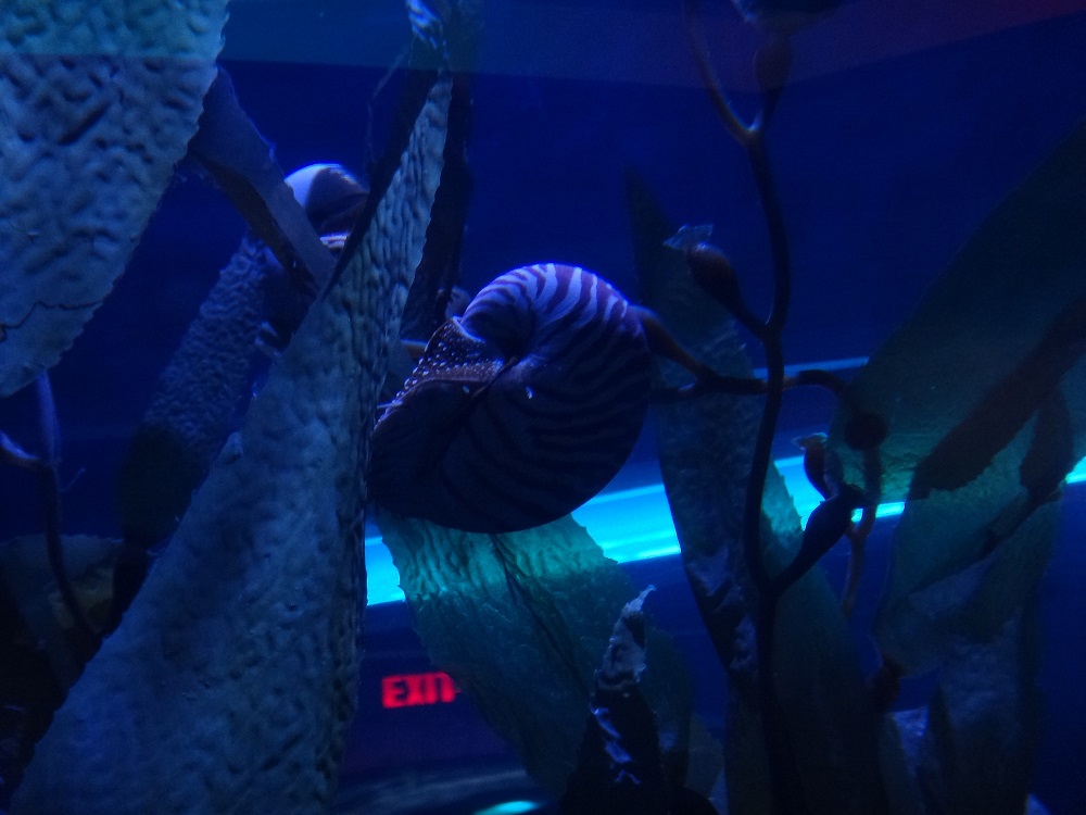 Newport Aquarium 2016