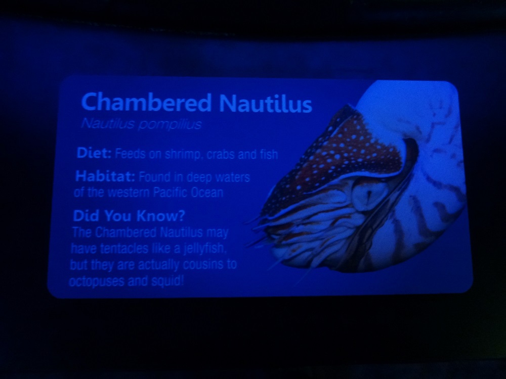 Newport Aquarium 2016