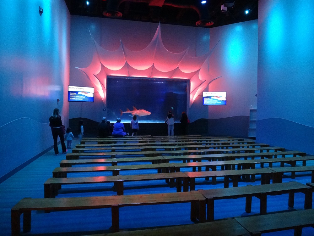 Newport Aquarium 2016