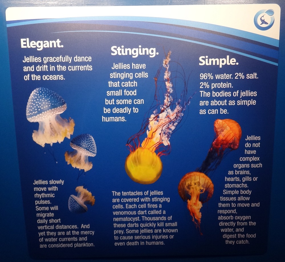 Newport Aquarium 2016