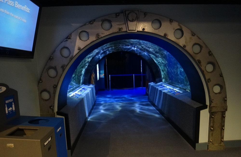 Newport Aquarium 2016