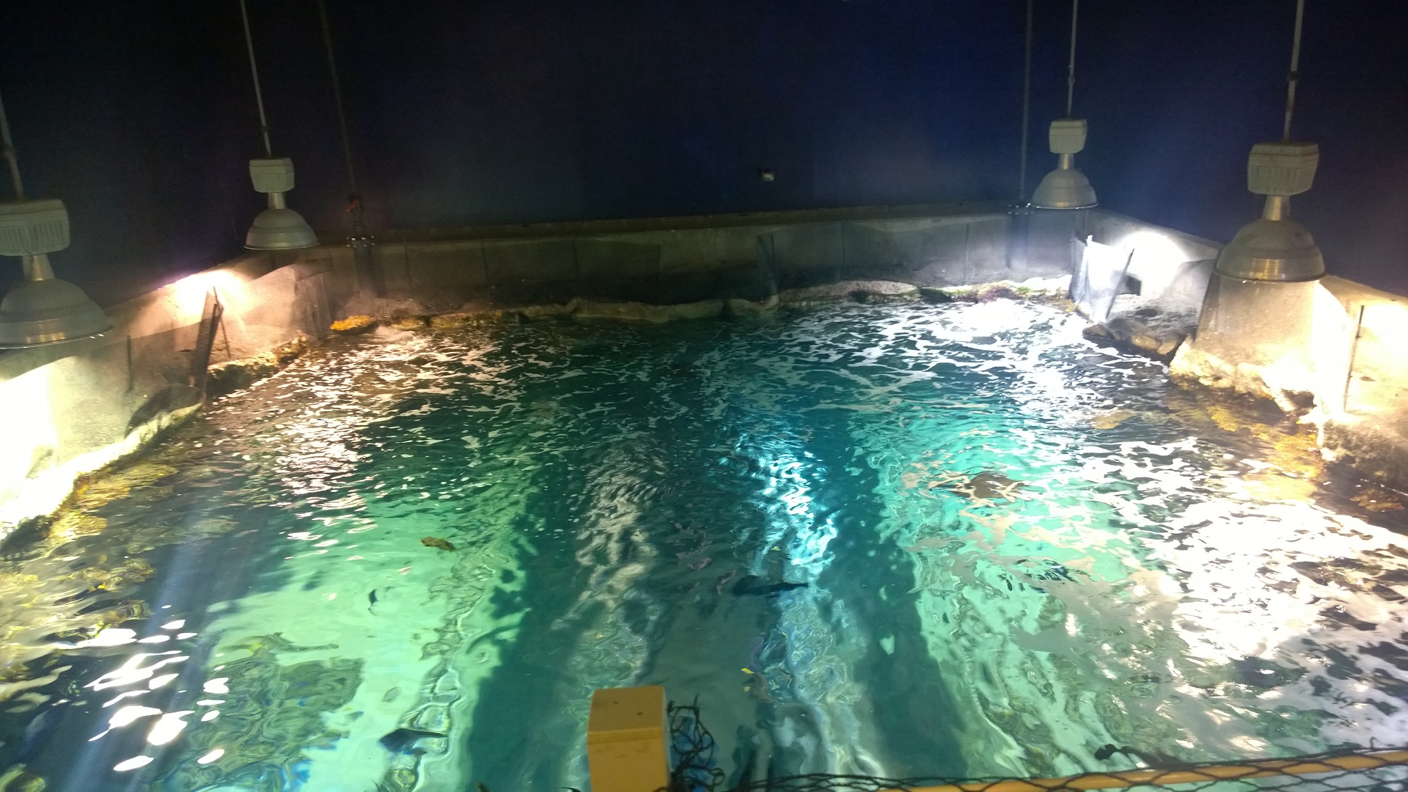 Cover for Newport Aquarium Backstage Animal Experience (2015)