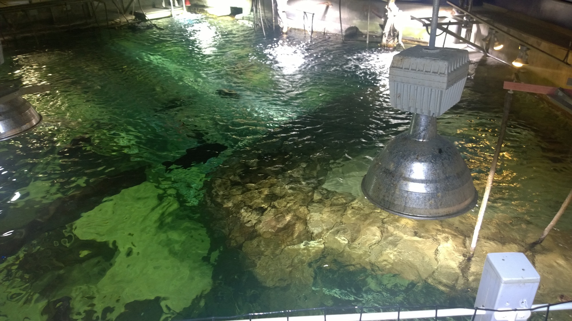 Newport Aquarium Backstage Animal Experience 2015