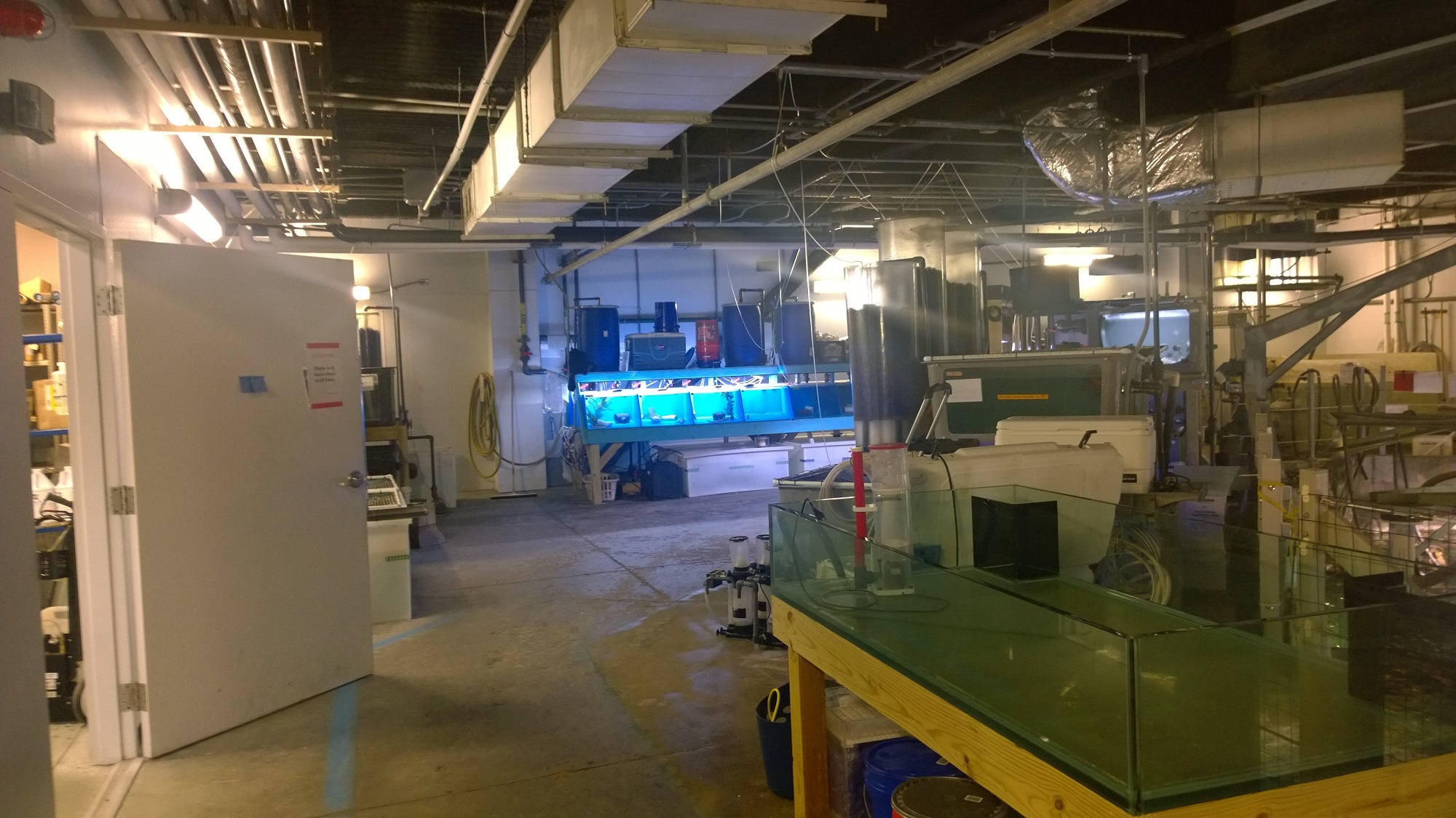 Newport Aquarium Backstage Animal Experience 2015