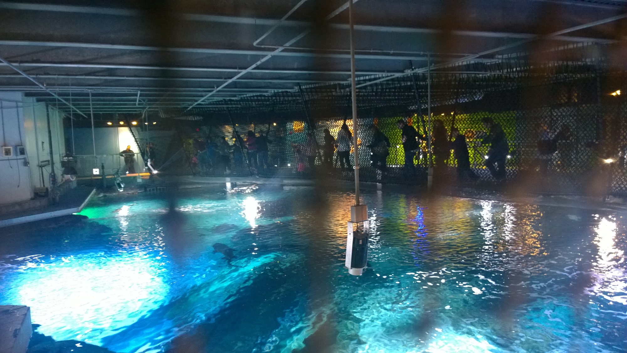 Newport Aquarium Backstage Animal Experience 2015