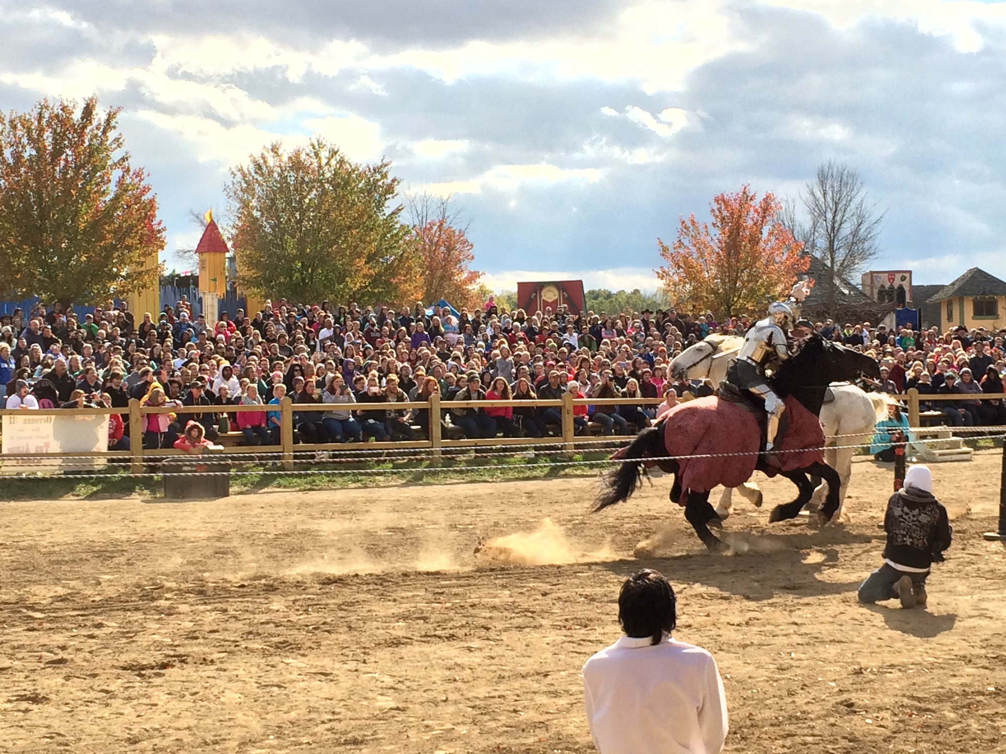 Photo from the Ohio Renaissance Festival in 2015, image 10