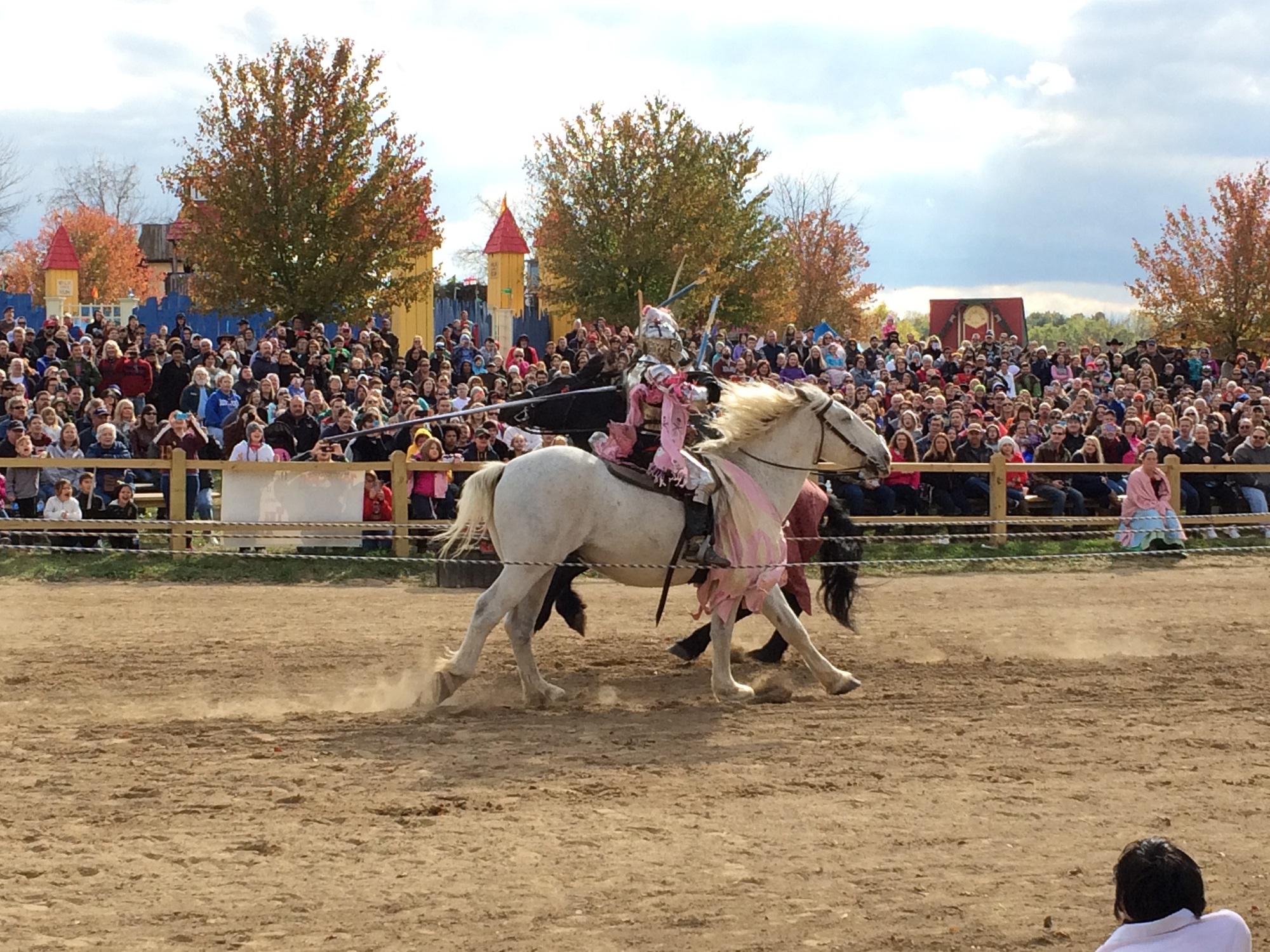 Photo from the Ohio Renaissance Festival in 2015, image 11