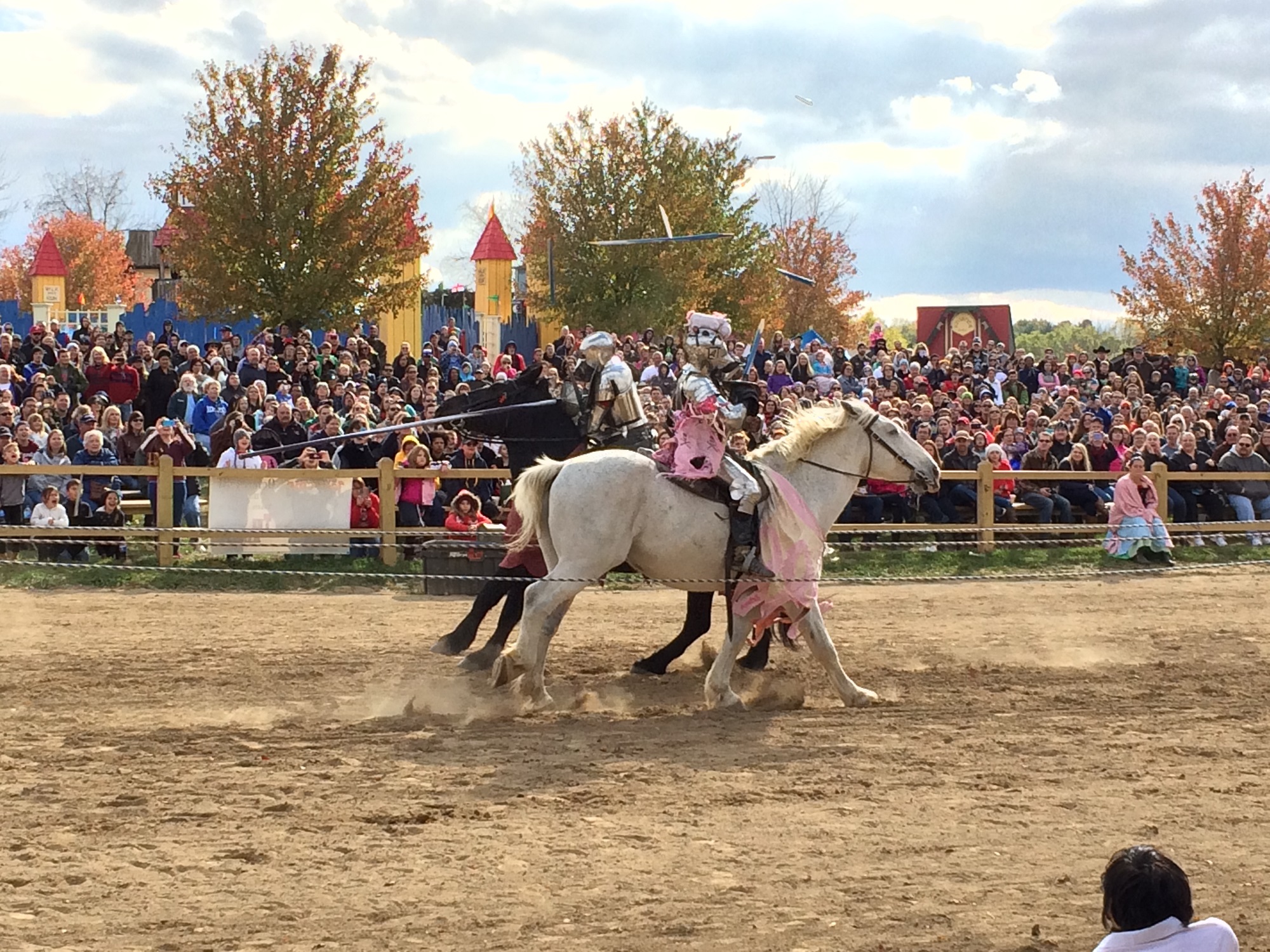 Photo from the Ohio Renaissance Festival in 2015, image 12