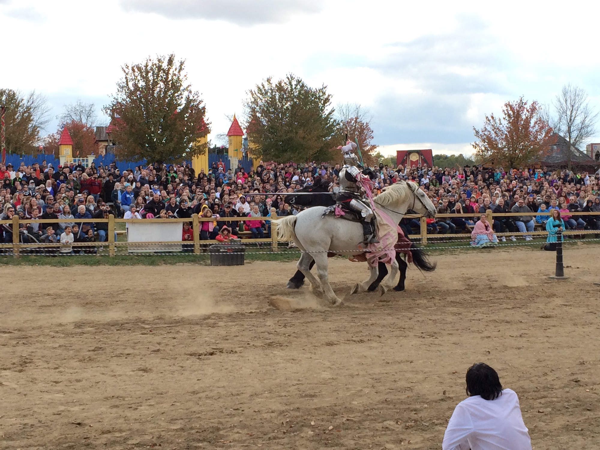 Photo from the Ohio Renaissance Festival in 2015, image 13