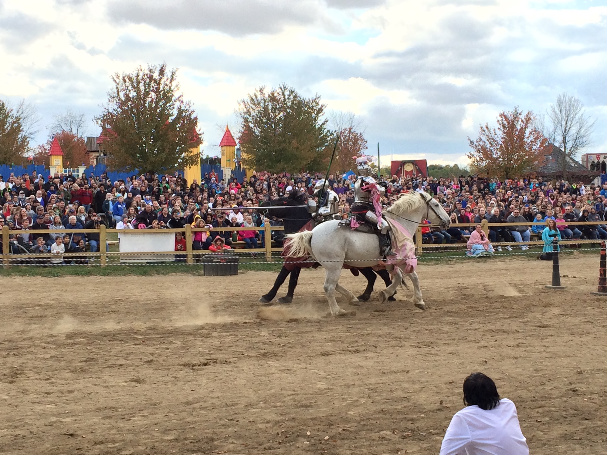 Photo from the Ohio Renaissance Festival in 2015, image 14