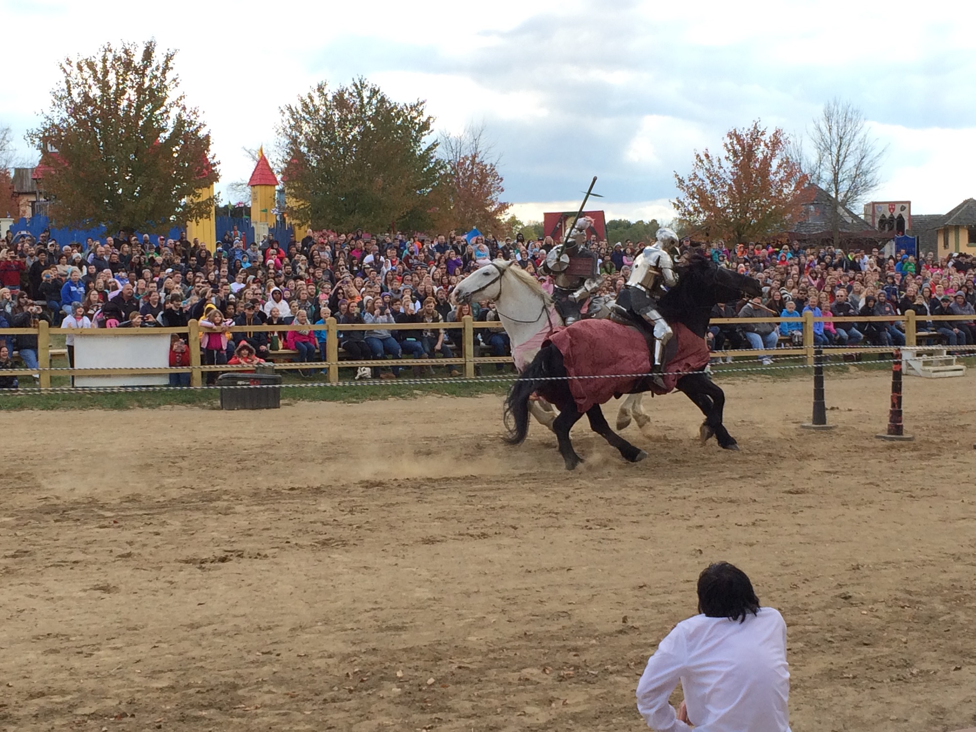 Photo from the Ohio Renaissance Festival in 2015, image 15
