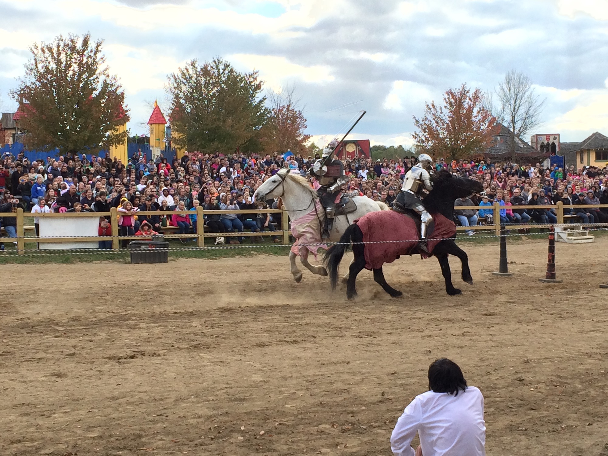 Photo from the Ohio Renaissance Festival in 2015, image 16