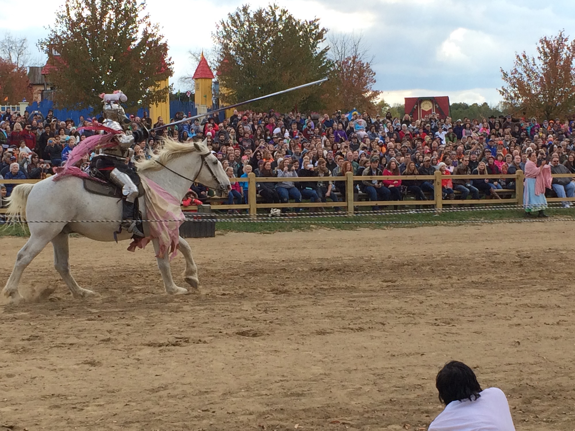 Photo from the Ohio Renaissance Festival in 2015, image 17